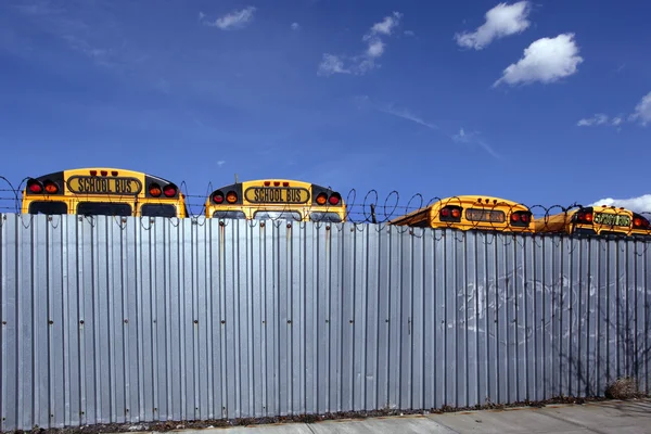 Autobuses detrás de la valla —  Fotos de Stock