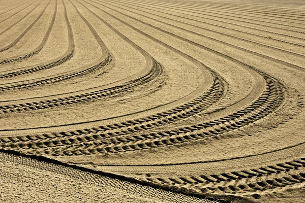 Band tracks op een strand — Stockfoto