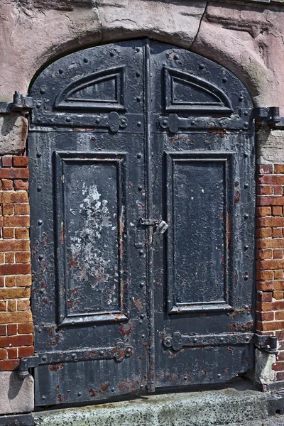 Vintage doors — Stock Photo, Image