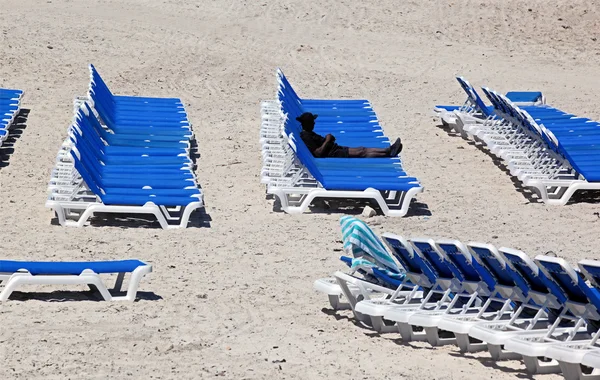 Sun loungers — Stock Photo, Image