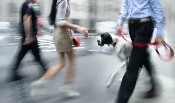 Menschen gehen mit Hund auf der Straße spazieren — Stockfoto