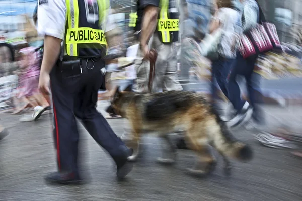 Policjantów z psem — Zdjęcie stockowe
