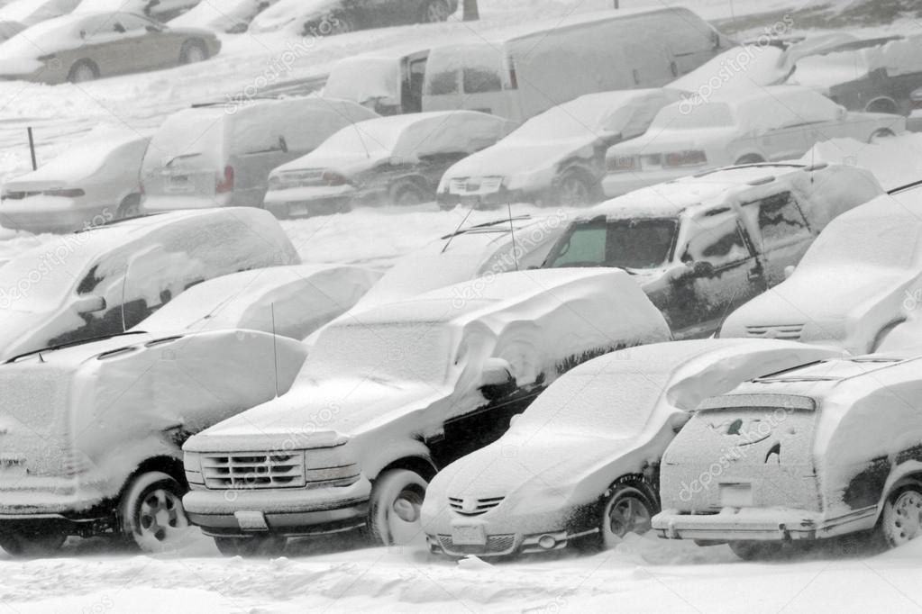 vehicles covered with snow