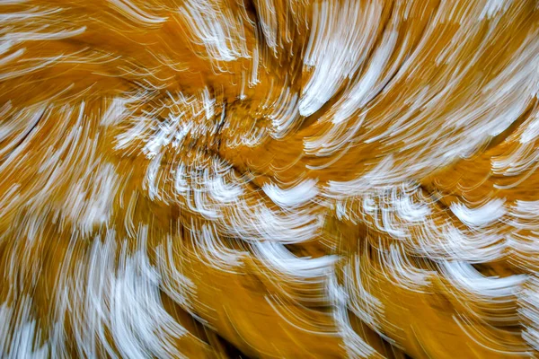 Bunte Herbstbäume Stadtpark Mit Verschwommenem Hintergrund — Stockfoto