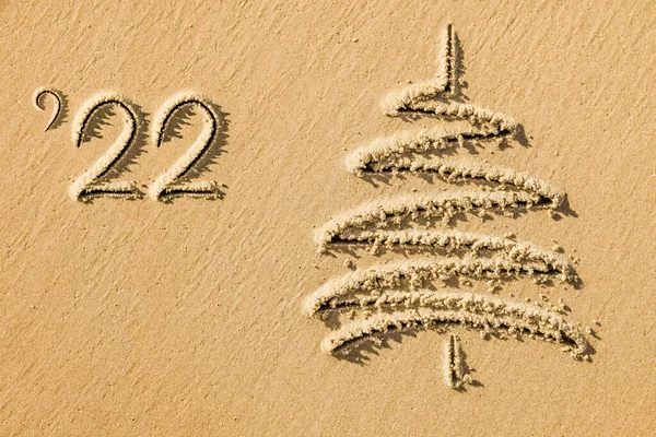 Immagini Albero Natale Nella Spiaggia Sabbia Spiaggia Primo Piano — Foto Stock