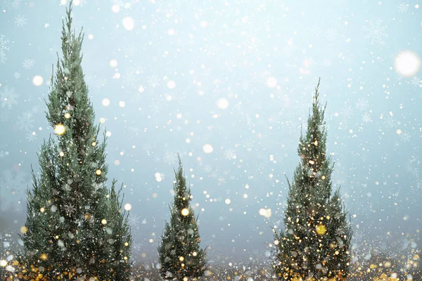 Pohon Natal Dengan Cahaya Berkilau Kepingan Salju Latar Belakang Liburan — Stok Foto