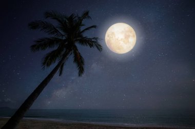 Gece boyunca tropik plajda, siluet palmiyeli bir yıldızla dolunay fantezisi. Astronomi alanında yaz mevsiminde. İnanılmaz bir gökyüzünün arka planı. rüya gibi doğa.