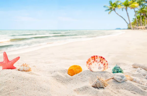 Abstrakter Sandstrand Mit Muschel Verschwommen Von Tropischem Strand Mit Palmen — Stockfoto