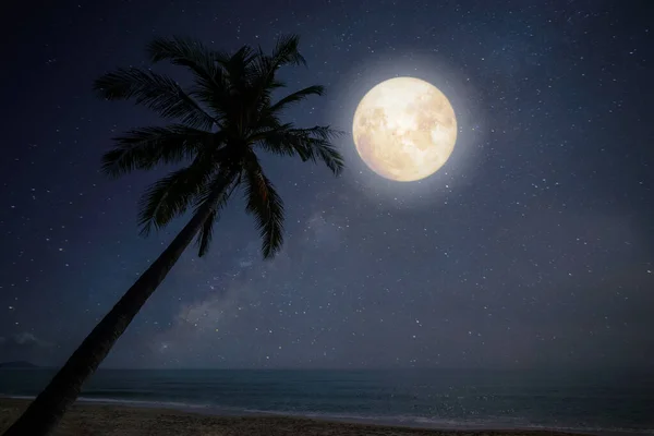 Fantasie Vollmond Mit Stern Der Nacht Tropischen Strand Mit Silhouette — Stockfoto