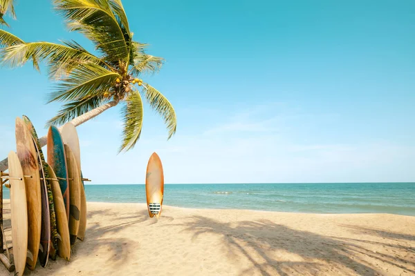 Серфінг Пальма Пляжі Пляжним Знаком Зони Серфінгу Подорожі Пригоди Водні — стокове фото