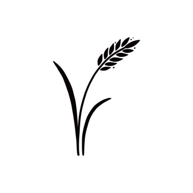 Buğday, arpa, pirinç ikonu. El çizimi