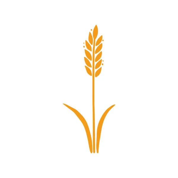 小麦，大麦，大米图标。手绘 — 图库矢量图片
