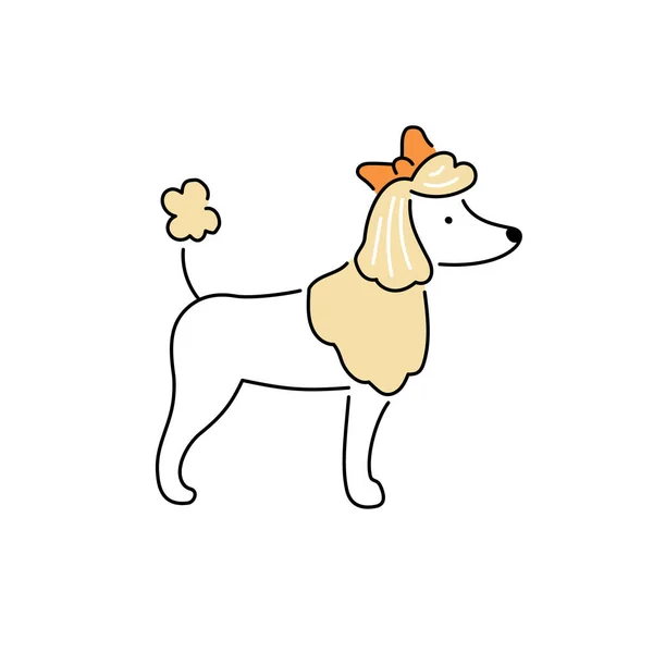 Niedlicher Pudelhund. Haustierhaltung — Stockvektor