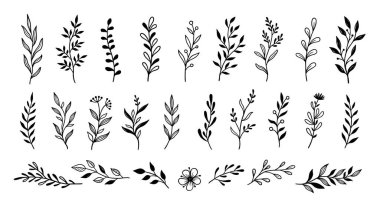 Leaf branch wreath rustic set. Hand drawn sketch doodle style leaf. Flourish branch, laurel flower for border, divider design element. Vector illustration.