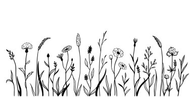 Wild field flower line set. Hand drawn doodle sketch style wild floral element for nature spring background. Flower, garden grass field outline vector illustration.