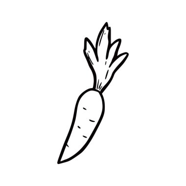 Hand drawn carrot. Doodle sketch style. Drawing line simple carrot icon. Isolated vector illustration.