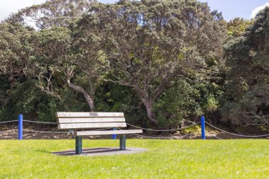 boş park bankında