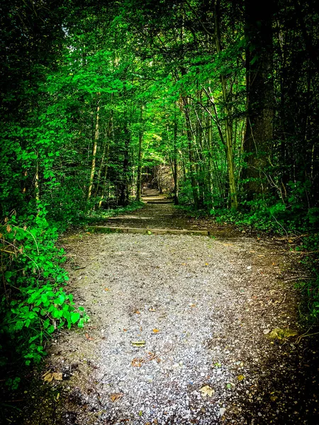 Yürüyüş Ormanı, Yol, Uetliberg İsviçre
