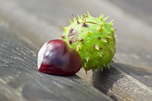 kalp şeklinde kestane