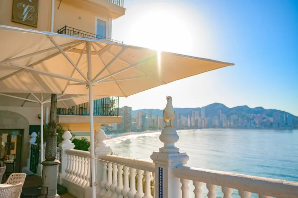 Akdeniz balkonu, Benidorm, İspanya