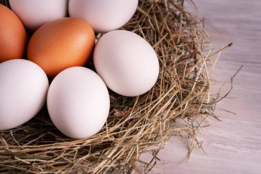 Kapalı çiğ, kahverengi, organik yumurta kabuğu ve yumurtanın sarısı, mutlu tavuk tavuk tavuk çiftliğinden doğaya doğru uzanıyor. Çimen yuvası saman yuvası sağlıklı protein besin, bahar doğum bayramının sembolü. 