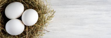 Kapalı çiğ, kahverengi, organik yumurta kabuğu ve yumurtanın sarısı, mutlu tavuk tavuk tavuk çiftliğinden doğaya doğru uzanıyor. Çimen yuvası saman yuvası sağlıklı protein besin, bahar doğum bayramının sembolü. 