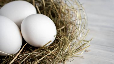 Kapalı çiğ, kahverengi, organik yumurta kabuğu ve yumurtanın sarısı, mutlu tavuk tavuk tavuk çiftliğinden doğaya doğru uzanıyor. Çimen yuvası saman yuvası sağlıklı protein besin, bahar doğum bayramının sembolü. 