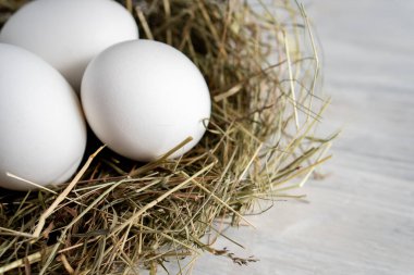 Kapalı çiğ, kahverengi, organik yumurta kabuğu ve yumurtanın sarısı, mutlu tavuk tavuk tavuk çiftliğinden doğaya doğru uzanıyor. Çimen yuvası saman yuvası sağlıklı protein besin, bahar doğum bayramının sembolü. 