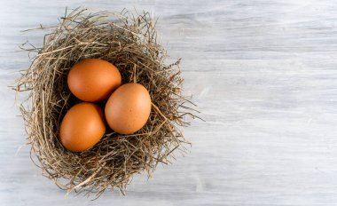 Kapalı çiğ, kahverengi, organik yumurta kabuğu ve yumurtanın sarısı, mutlu tavuk tavuk tavuk çiftliğinden doğaya doğru uzanıyor. Çimen yuvası saman yuvası sağlıklı protein besin, bahar doğum bayramının sembolü. 