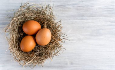 Kapalı çiğ, kahverengi, organik yumurta kabuğu ve yumurtanın sarısı, mutlu tavuk tavuk tavuk çiftliğinden doğaya doğru uzanıyor. Çimen yuvası saman yuvası sağlıklı protein besin, bahar doğum bayramının sembolü. 