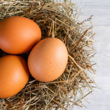 Kapalı çiğ, kahverengi, organik yumurta kabuğu ve yumurtanın sarısı, mutlu tavuk tavuk tavuk çiftliğinden doğaya doğru uzanıyor. Çimen yuvası saman yuvası sağlıklı protein besin, bahar doğum bayramının sembolü. 