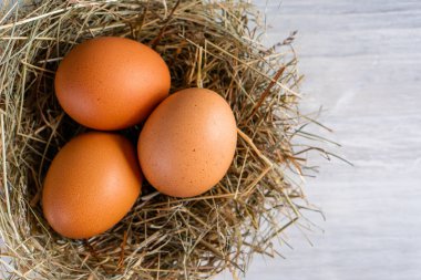 Kapalı çiğ, kahverengi, organik yumurta kabuğu ve yumurtanın sarısı, mutlu tavuk tavuk tavuk çiftliğinden doğaya doğru uzanıyor. Çimen yuvası saman yuvası sağlıklı protein besin, bahar doğum bayramının sembolü. 