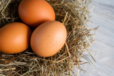 Kapalı çiğ, kahverengi, organik yumurta kabuğu ve yumurtanın sarısı, mutlu tavuk tavuk tavuk çiftliğinden doğaya doğru uzanıyor. Çimen yuvası saman yuvası sağlıklı protein besin, bahar doğum bayramının sembolü. 