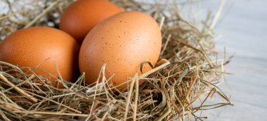 Kapalı çiğ, kahverengi, organik yumurta kabuğu ve yumurtanın sarısı, mutlu tavuk tavuk tavuk çiftliğinden doğaya doğru uzanıyor. Çimen yuvası saman yuvası sağlıklı protein besin, bahar doğum bayramının sembolü. 