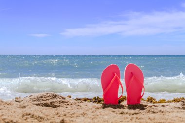 Gökkuşağı flip flop