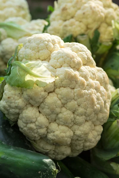 Farmers Market — Stock Photo, Image