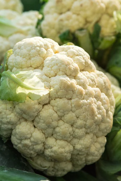 Farmers Market — Stock Photo, Image