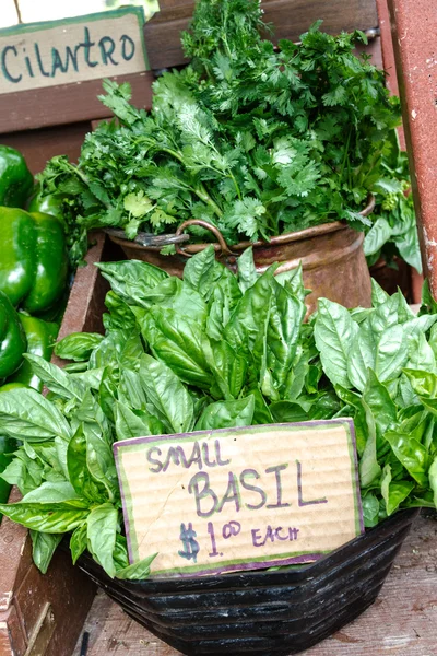 Farmers Market — Stock Photo, Image