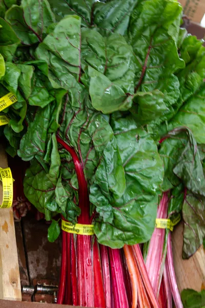 Mercado dos agricultores — Fotografia de Stock