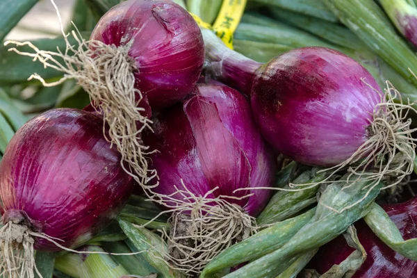 Mercado dos agricultores — Fotografia de Stock