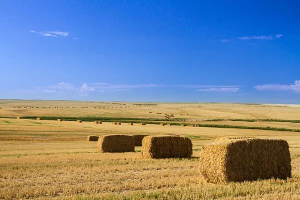 Bales of Hay — Stock Photo, Image