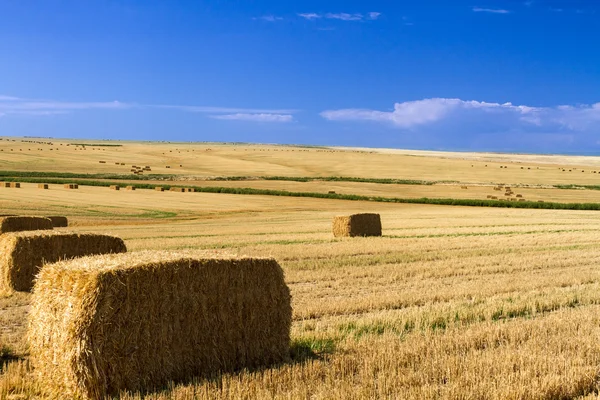 Bales of Hay — Stock Photo, Image