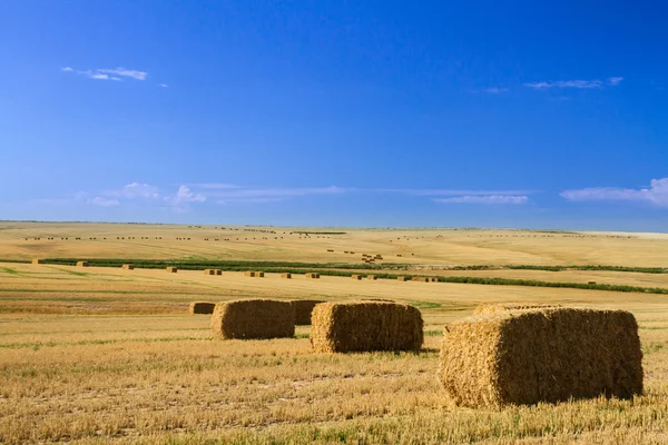 Bales of Hay — Stock Photo, Image