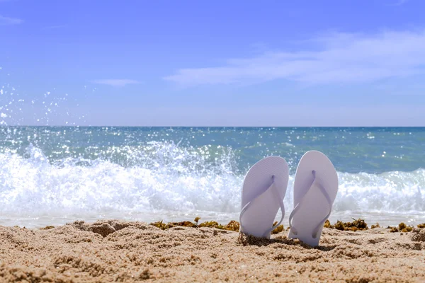 Regenboog flip-flops — Stockfoto