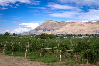 Grand Valley