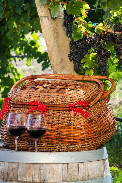 Picnic i Vineyard - Stock-foto