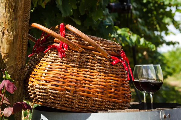 Picknick im Weinberg — Stockfoto