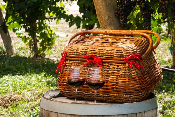 Picnic i Vineyard - Stock-foto