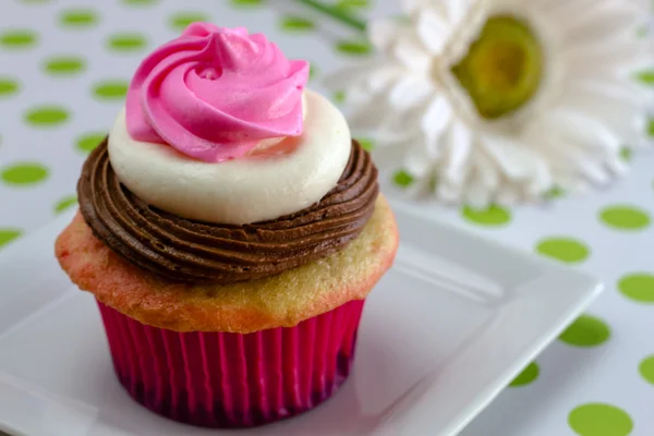 Neapolitan cupcakes — Stok fotoğraf