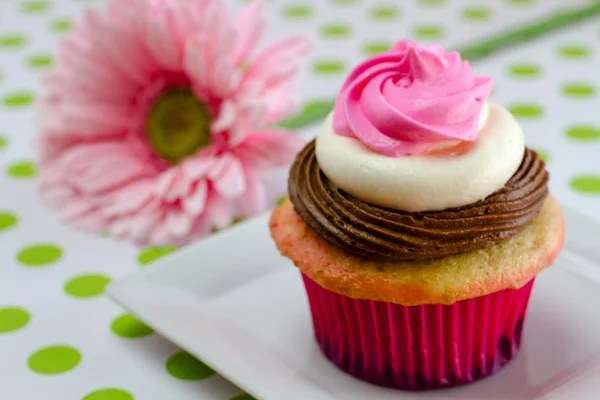 Cupcake napoletani — Foto Stock